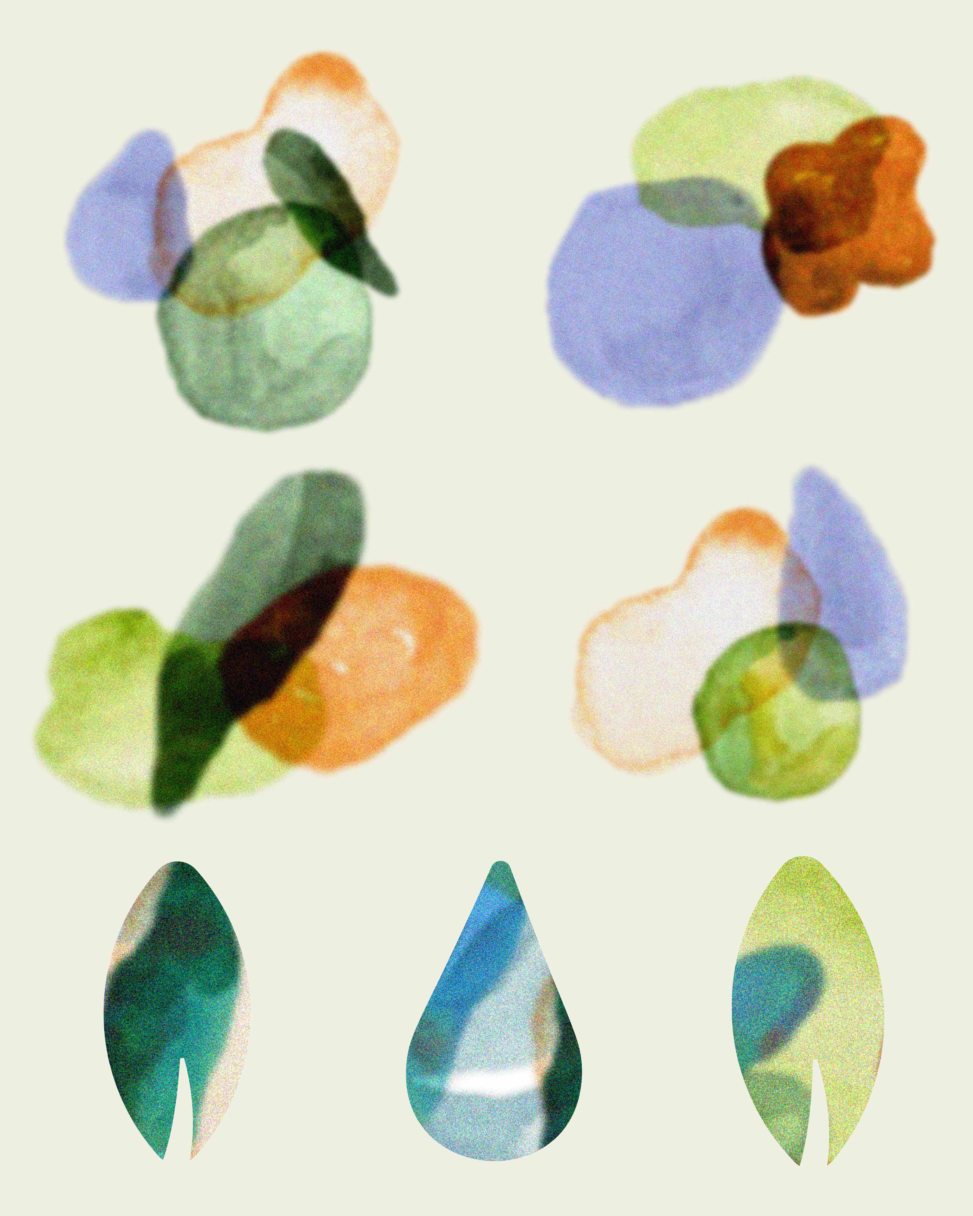 Farmacia Paduan - Composiciones de acuarela